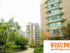 老小区有哪些优点?有些“老干部”真不能要