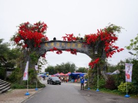 从化区城郊街景点 天适樱花悠乐园