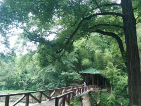 从化区良口镇旅游景点 影村