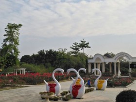 从化区城郊街旅游景点 宝趣玫瑰世界