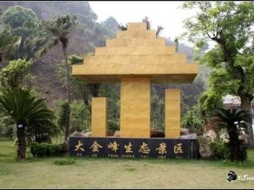 从化区江埔街旅游景点 大金峰百花果景区