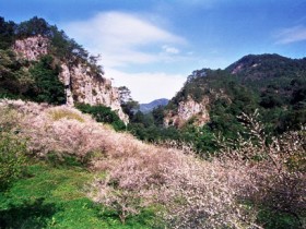 从化区温泉镇旅游景点 石门国家森林公园