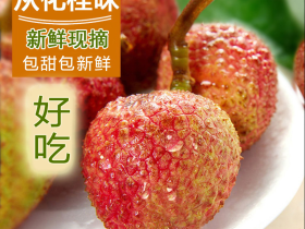 广东最好吃的荔枝产地从化和增长区域 从化生鲜荔枝一件代发