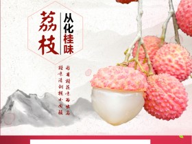 广东水果荔枝 从化荔枝有哪些优质品种 从化荔枝怎么做代理一件代发