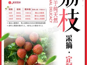 2023年从化荔枝采摘园 果蔬定制 果园现在现吃 香荔 桂味 糯米糍 槐枝