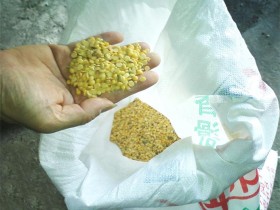 从化吕田高山腐竹