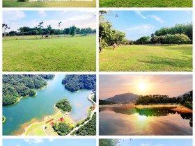 从化露营地点推荐一 北纬23度8森林营地 从化首屈一指的露营基地